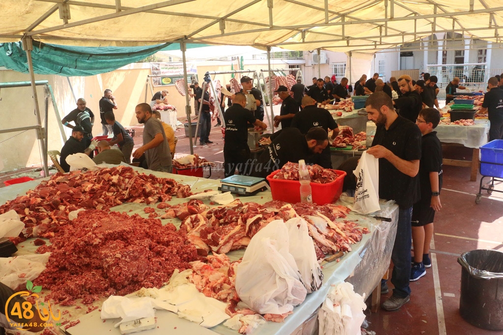 ada7y forthei (4).JPG